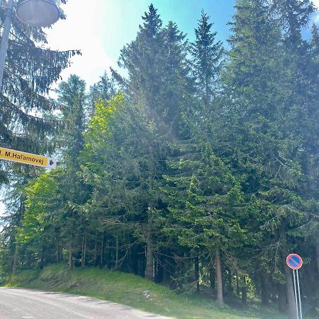 Štrbské Pleso Tatry Ela Big Apartment מראה חיצוני תמונה